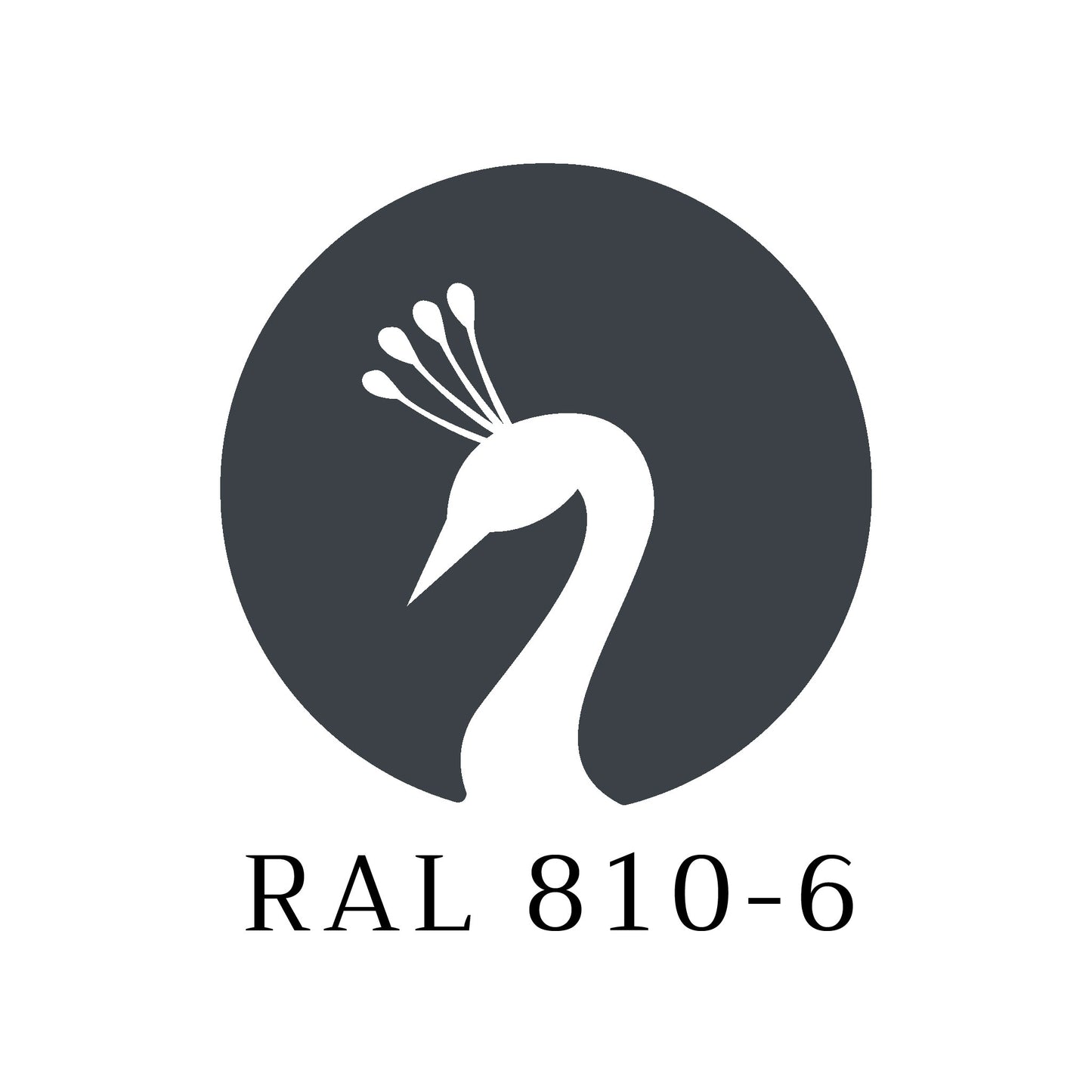 Metal paint RAL 810-6